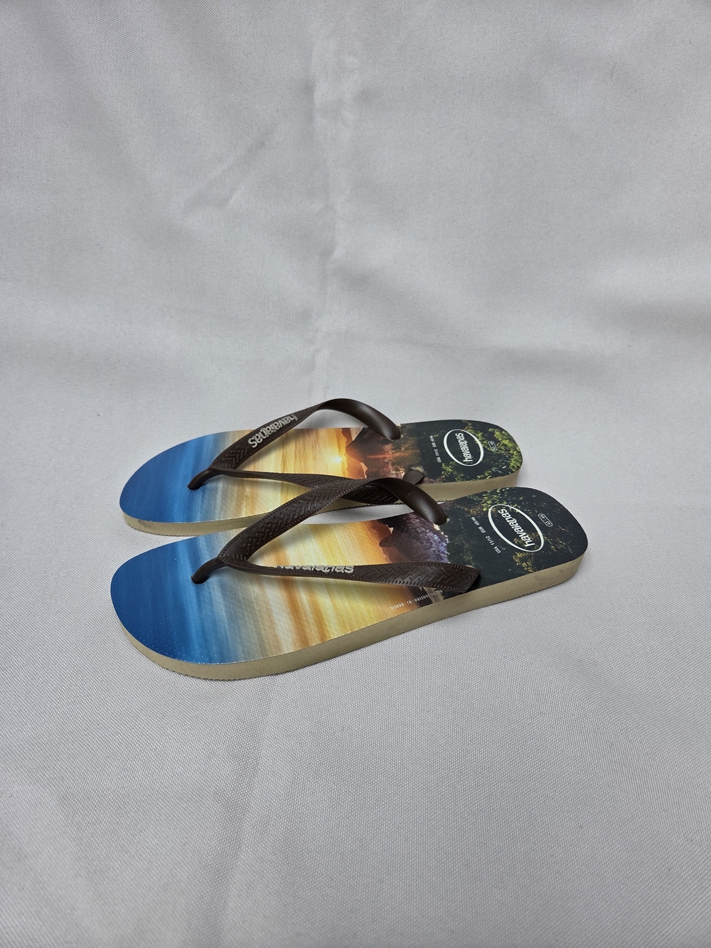 Havaianas Gradient Beach Print Flip Flops in Blue and Brown
